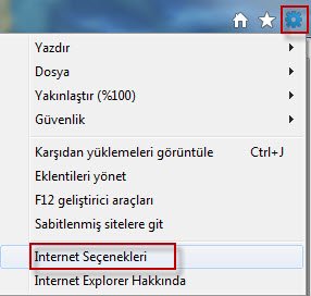 internet explorer